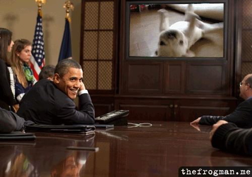 tumblr_l40qwwP8pZ1qzrlhgo1_r1_500.gif