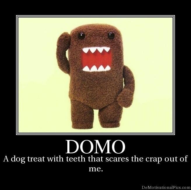 domo3.jpg