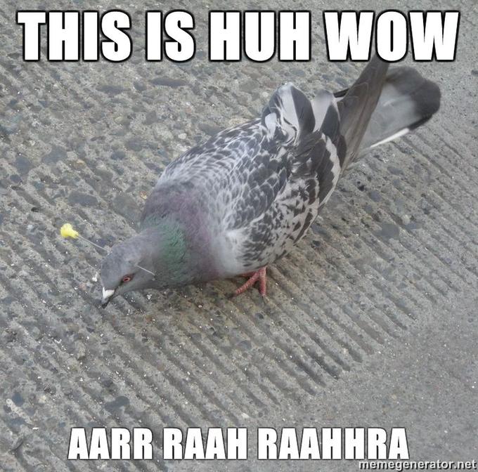 Forgetful-Pigeon-This-is-HUH-WOW-AARR-RAAH-RAAHHRA.jpg