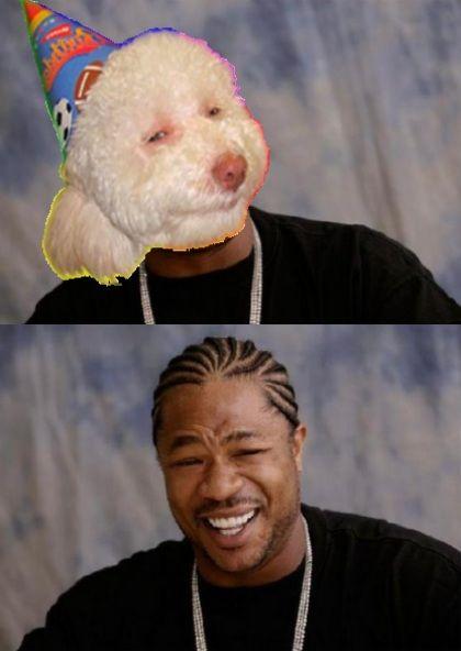 meme.jpg
