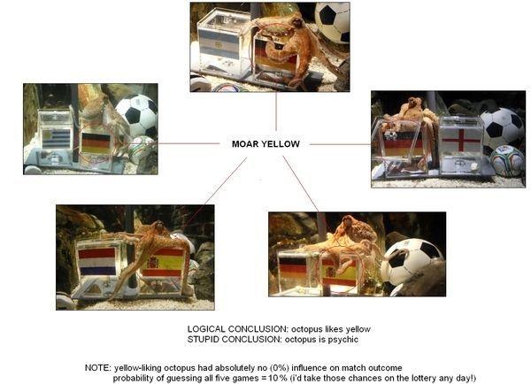 paul-the-octopus-is-not-psychic-20845-1278956645-0.jpg