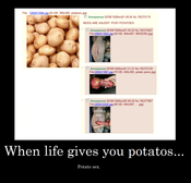 1265612990008_1_.png