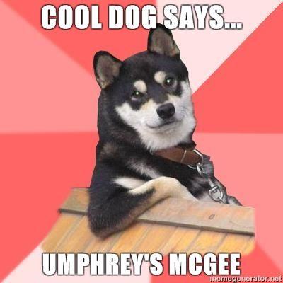 Cool-Dog-COOL-DOG-SAYS-umphreys-mcgee.jpg