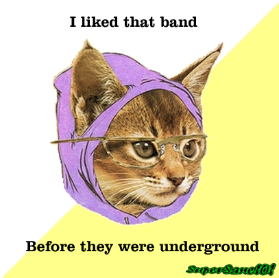 Hipster Kitty