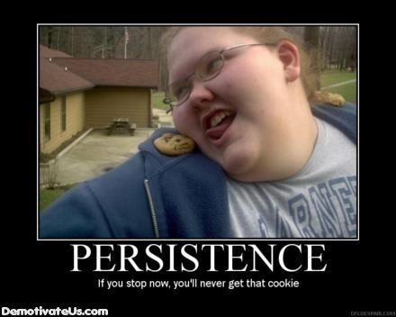 persistance.jpg