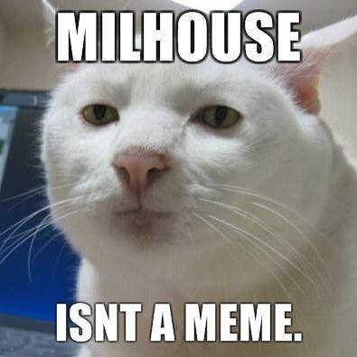 "Milhouse Is Not A Meme"