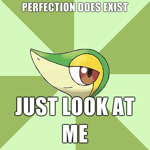 PERFECTION-DOES-EXIST-JUST-LOOK-AT-ME.jpg