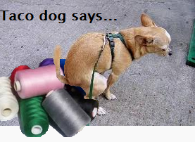 tacodog.png
