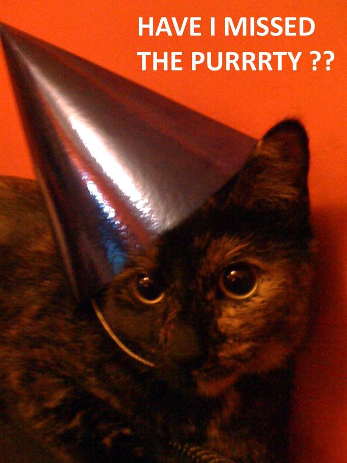 Purrtty_Cat.jpg