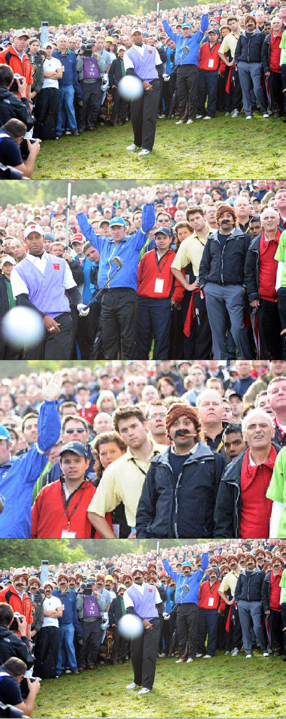 tiger_shot02.jpg