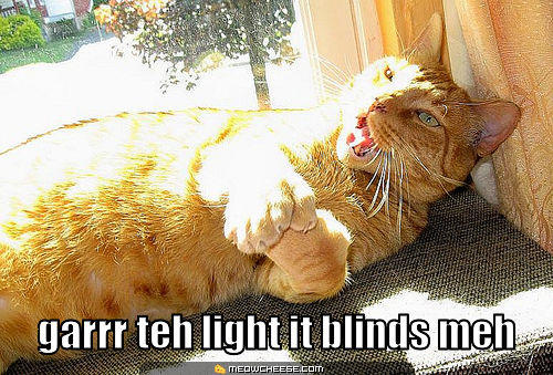 garrr-teh-light-it-blinds-meh.jpg