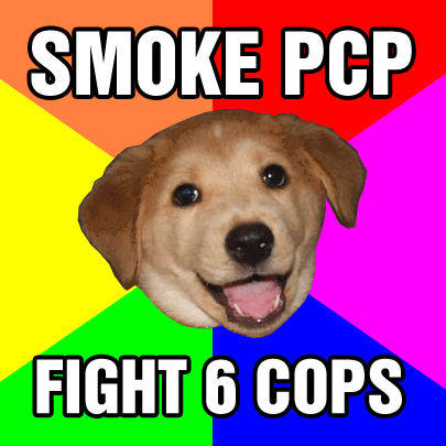 advicedogpcp.jpg