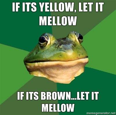 IF-ITS-YELLOW-LET-IT-MELLOW-IF-ITS-BROWNLET-IT-MELLOW.jpg