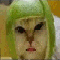 Talking_Limecat.gif