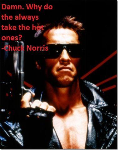the-terminator.jpg