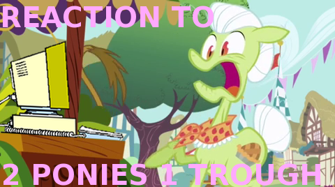 MLP_reaction2.png