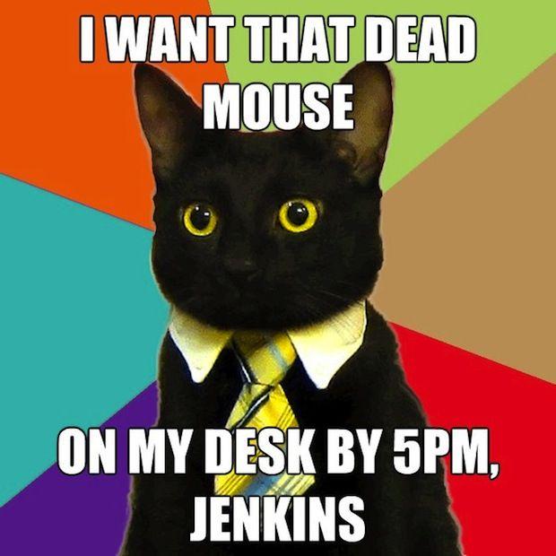 business-cat-10.jpg