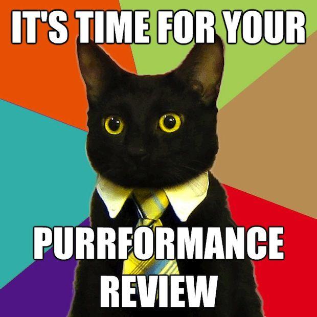 business-cat-14.jpg