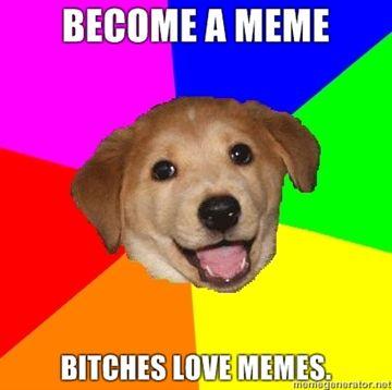 Become-a-meme-bitches-love-memes.jpg