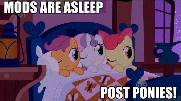 http://i2.kym-cdn.com/photos/images/newsfeed/000/103/384/roflbot-1.jpg