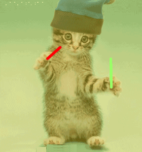 cat-rave.gif