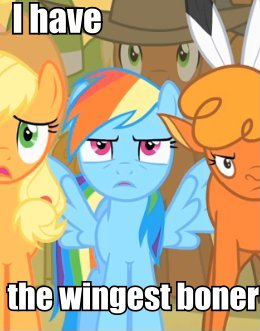 rd_i_have_the_wingest_boner.png