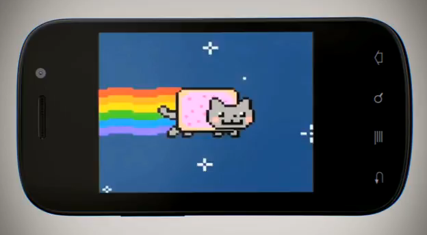 nyannexus.PNG