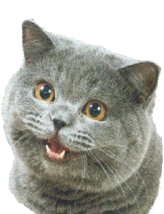 317_45c72028b25f7.gif