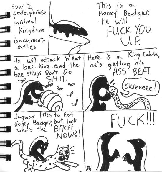 2010-07-08-Honey-Badger.jpg