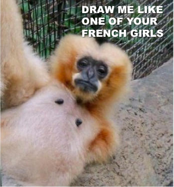 FRENCH.PNG