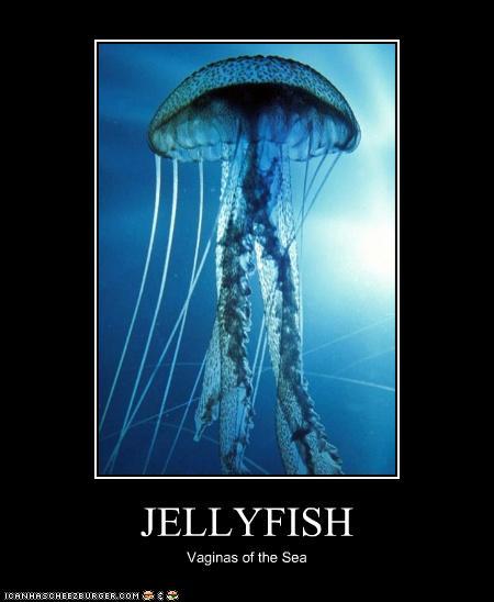 Jellyfish_Demotivational_Postr_by_Red_Rum_18.jpg