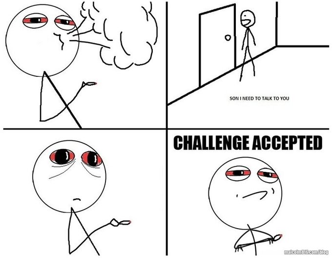 Challenge+accepted+Pt+3_fb4576_1292853.jpg