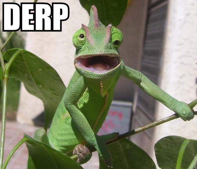 roflbot-JdBh.jpg