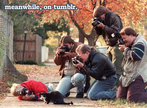 tumblr_lg063dJqsB1qzt7d8o1_r1_500.jpg