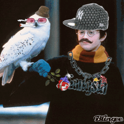 Forum Image: http://i2.kym-cdn.com/photos/images/newsfeed/000/168/173/Blingee_HP.gif