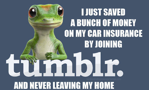 tumblr_lppglrJaPY1qb5gkjo1_500.jpg