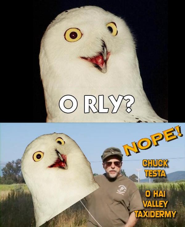 orly.jpg