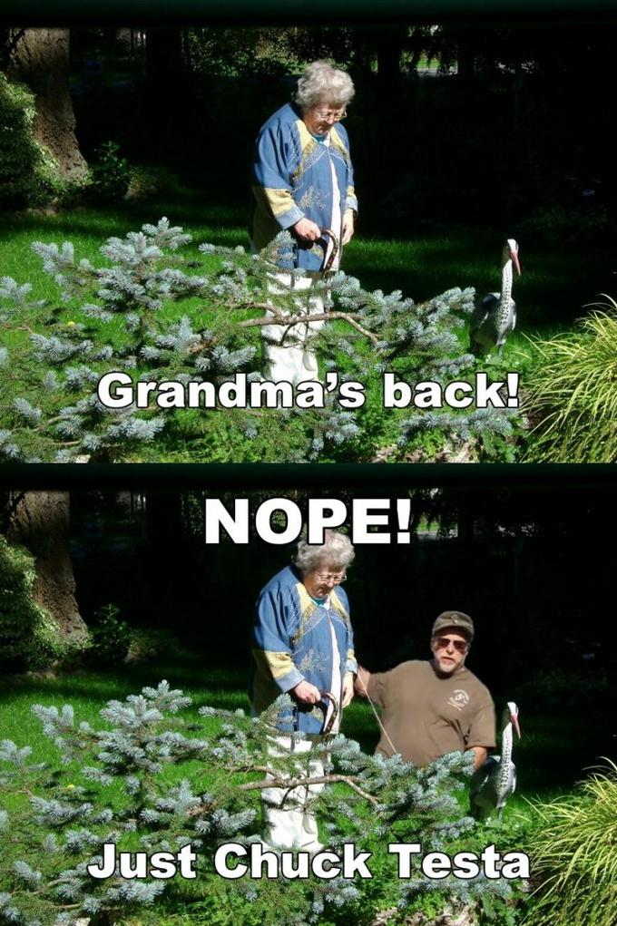 chuck-testa-grandmas-back-682x1024.jpg