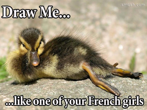 tumblr_lrwcrr1P7W1qhbx53o1_500.jpg