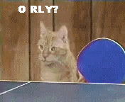 tumblr_lqz086ufil1qcpewlo1_250.gif