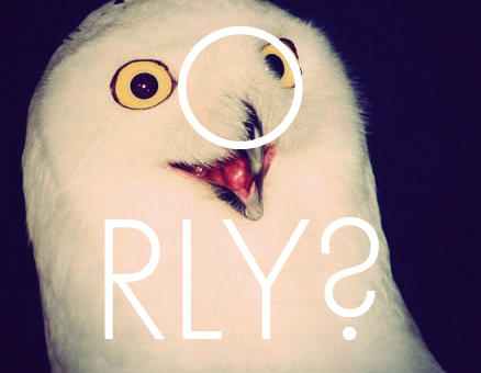 tumblr_ll1p1fyFrN1qfug8fo1_r1_500.jpg
