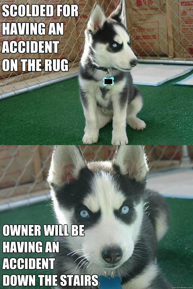 insanity-puppy-accident.jpg