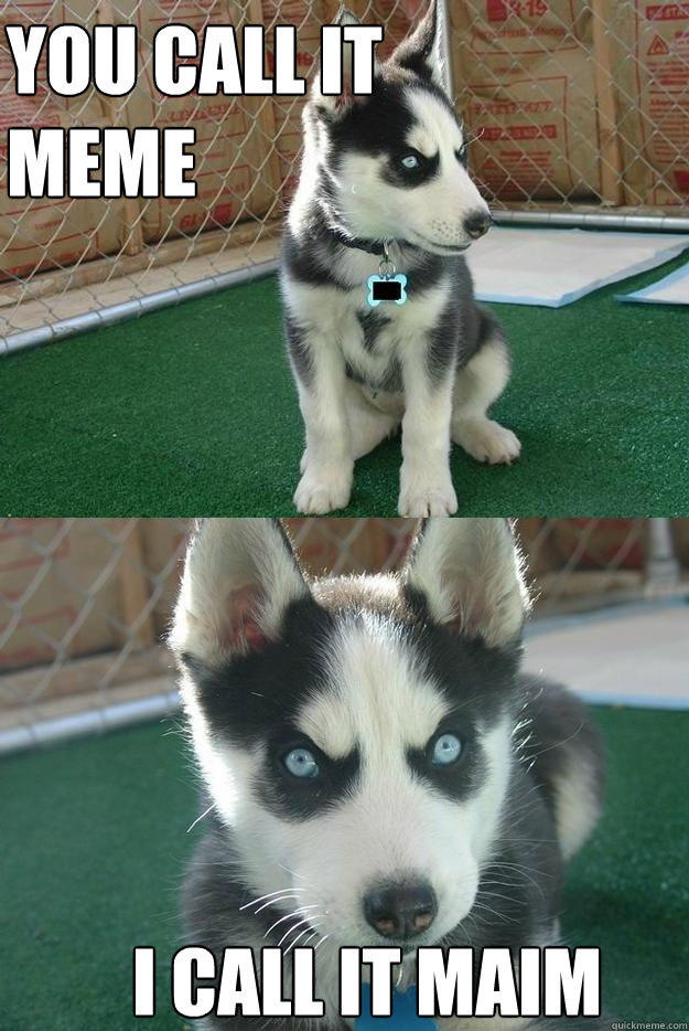Insanity-puppy-you-call-it-meme-i-call-it-maim.jpg