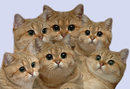 tumblr_lp9zi4DpoT1qbtk1co1_500.png