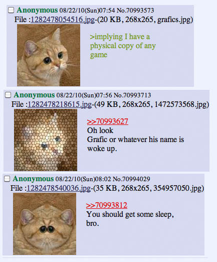 starecat.jpg