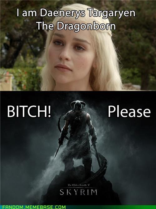 [Image 200881] The Elder Scrolls Know Your Meme