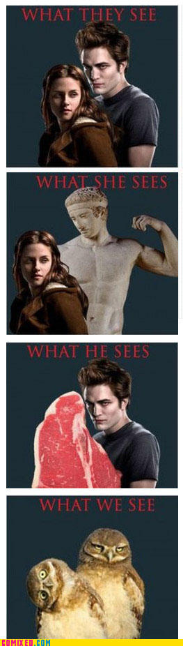 twilight-what-we-see-500x450.jpg