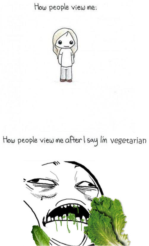 howpeopleviewmevegetarian.jpg