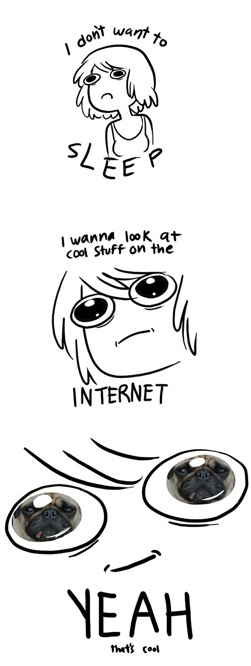 1324490398506.jpg
