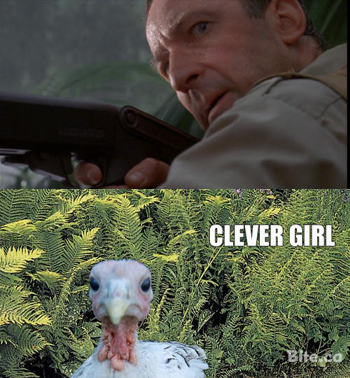 [Image 222510] Clever Girl Know Your Meme